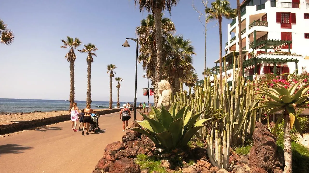 Studio in perfect location Playa de las Americas  Playa de las Americas (Tenerife)